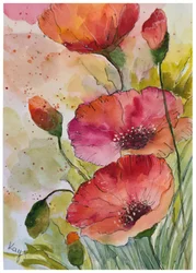 Levendige papavers in aquarel