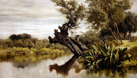 De wilgenboom