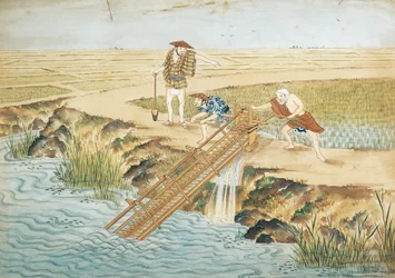Nederland, Leiden, Werk in rijstvelden