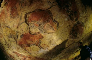 De galerij van bizons, Altamira-grot, Spanje, 2000