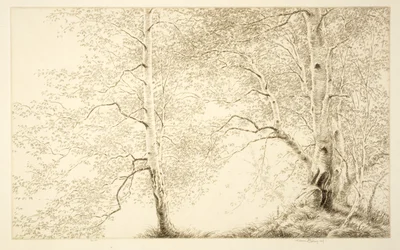 Berken