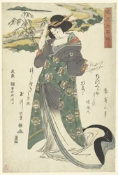De Chofu Tama rivier in de provincie Musashi