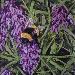 Zoem - Hommel Op Lavendel