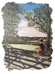 Herinneringen aan de Zomer, 2019