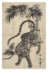 Tijger