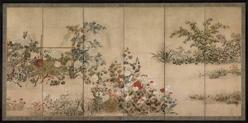 Bloemen en grassen