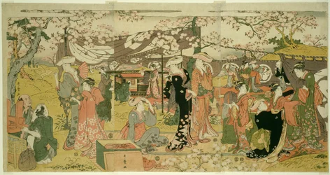 Kersenbloesem banket (Oka no utage)