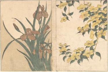 Kersenbloesems en irissen, uit het geïllustreerde boek Bloemen van de vier seizoenen