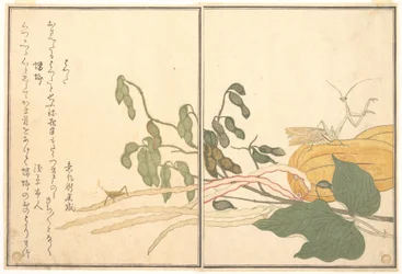 Kegelkopsprinkhaan of sprinkhaan (batta); biddende mantis (Tōrō of Kamakiri), uit het Prentenboek van kruipende wezens (Ehon mushi erami)