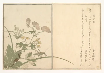 Sabelsprinkhaan (Umaoi-mushi); duizendpoot (Mukade), uit het Prentenboek van kruipende wezens (Ehon mushi erami)