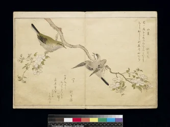 P.332-1946 Vol.1 f.2 Mees op een tak rechts en een struikzanger op een tak links, uit een album 