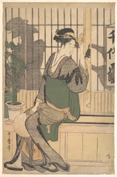 Schaduwen op de shōji
