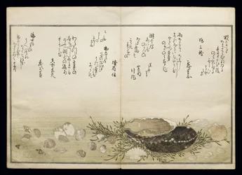 Shiohi no tsuto (Geschenken van de Eb), bekend als het Schelpenboek, 1789