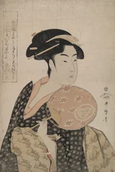 De schoonheid Ohisa