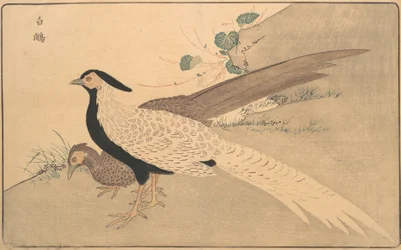Bai xian, 1789