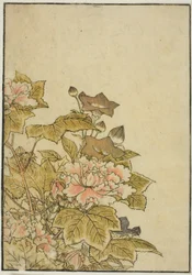 Herfstbloemen: Pioenen en Klokjesbloemen, uit het boek "Spiegel van Mooie Vrouwen van de Plezierkwartieren (Seiro bijin awase sugata kagami)," vol. 2