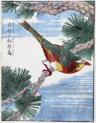 Vogel op een boom. Japanse tekening door Kitao Kosuisai