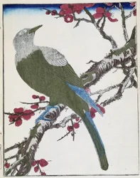 Vogel op een boom. Japanse tekening door Kitao Kosuisai