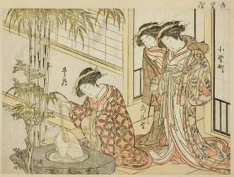 Courtisanes van Maruya, uit het boek "Spiegel van Mooie Vrouwen van de Plezierwijken (Seiro bijin awase sugata kagami)," deel 2