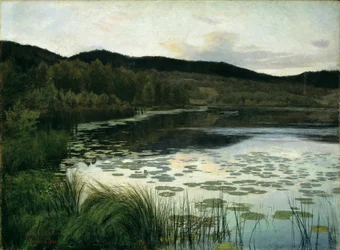 Zomernacht
