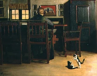 Interieur met speelse kittens