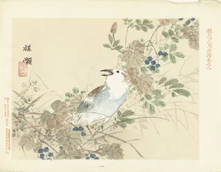 Zangvogel tussen herfstgrassen