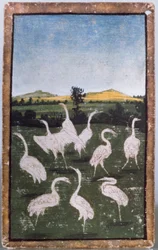 Reigers in een veld, een van een set speelkaarten die scènes van hofvalkerij uitbeelden, Boven-Rijngebied, c.1440-45