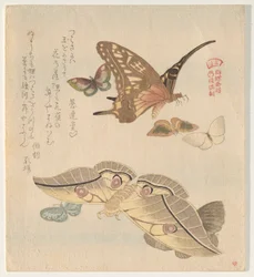 Vlinders en motten, uit de serie Een zwerm vlinders (Gunchō Gafu)