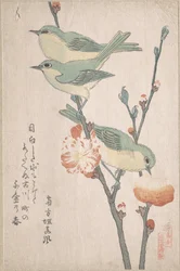 Japanse brilvogels op een tak van een perzikboom, uit de serie Een verzameling vogels (Tori awase), uit het surimonoalbum Lenteregen (Harusame surimono-jō, deel 3)