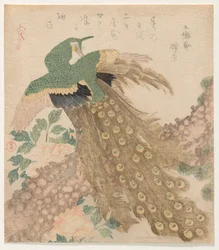 Van Drie Stukken [Pauw]