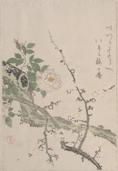 Rozen en pruimenbloesems