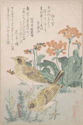 Veldleeuweriken en sleutelbloemen, uit de serie „Een verzameling vogels” (Tori awase), uit het surimono-album Lenteregen (Harusame surimono-jō, deel 3)