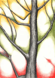 De gloed van de herfstboom