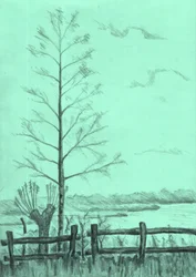Landschap met kale bomen