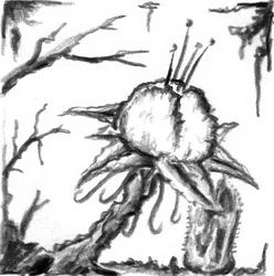 Duistere fantasieplant