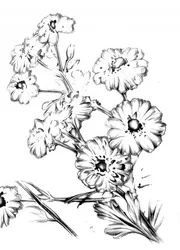 Elegante bloemtekening