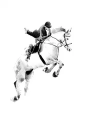 Vallende ruiter bij het springconcours