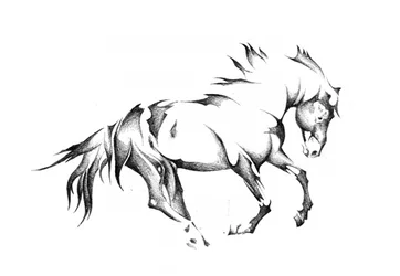 Schets van een galopperend paard