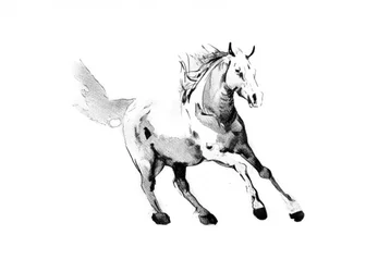 Galopperend wild paard