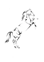 Majestueus paard op zijn achterbenen