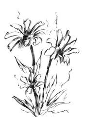 Monochrome bloemstudie