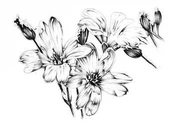 Monochrome bloemen in bloei