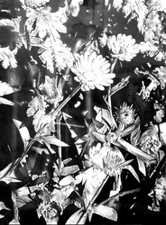 Monochrome bloemen in de tuin