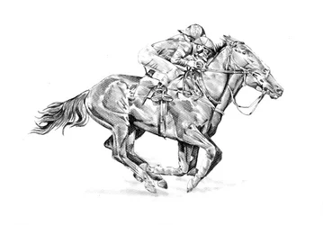 Renpaard en jockey