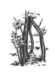 Scherpe winterbomen
