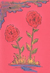 Twee bloeiende rozen