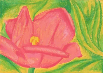 Levendige roze bloesem