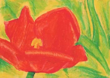 Levendige rode tulp