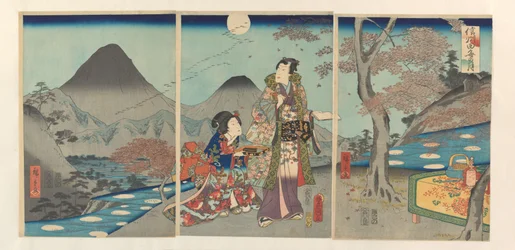 De maan gereflecteerd in de rijstvelden van Shinano