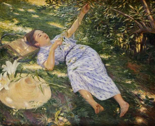 Onder de bomen